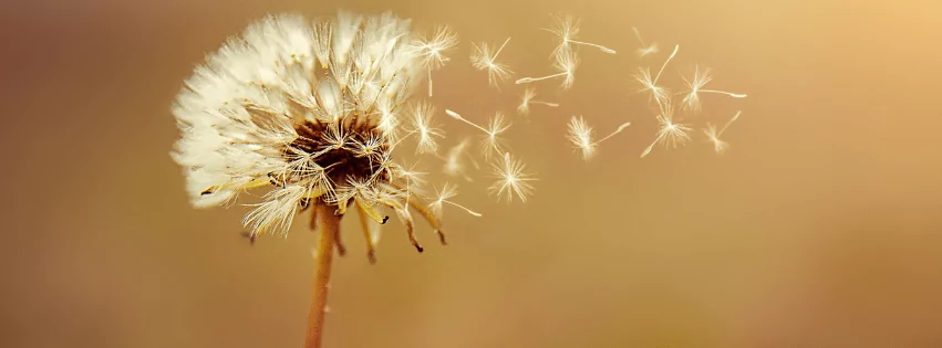 VZW Natuurlijk in Verbinding 1 Naruurlijk in verbinding - VZW met meerdere trefpunten