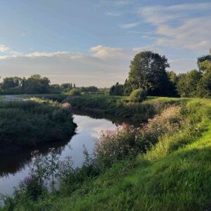 Veerkracht Bosbad | 4 okt | Beernem