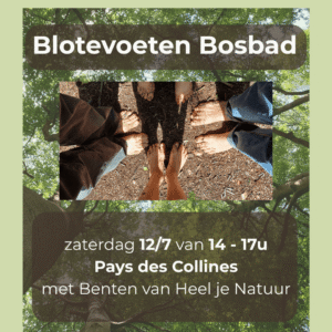blote voeten in bosgrond