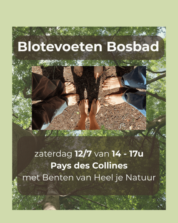 blote voeten in bosgrond