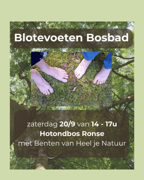 Blote voeten in gras en aarde