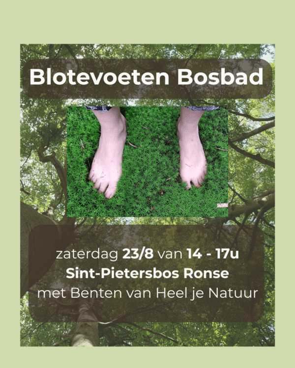 Blotevoeten bosbad | 23 aug | Ronse