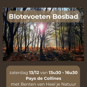 blotevoeten bosbad