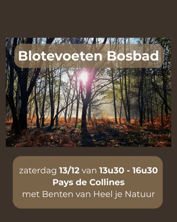 blotevoeten bosbad