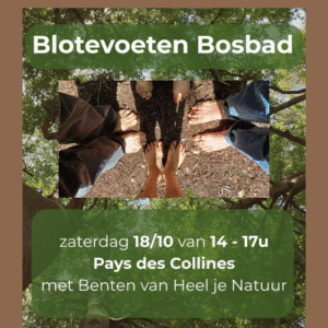 blote-voeten-bosbad
