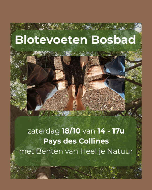 blote-voeten-bosbad