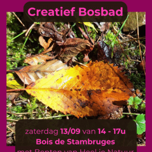 creatief-bosbad