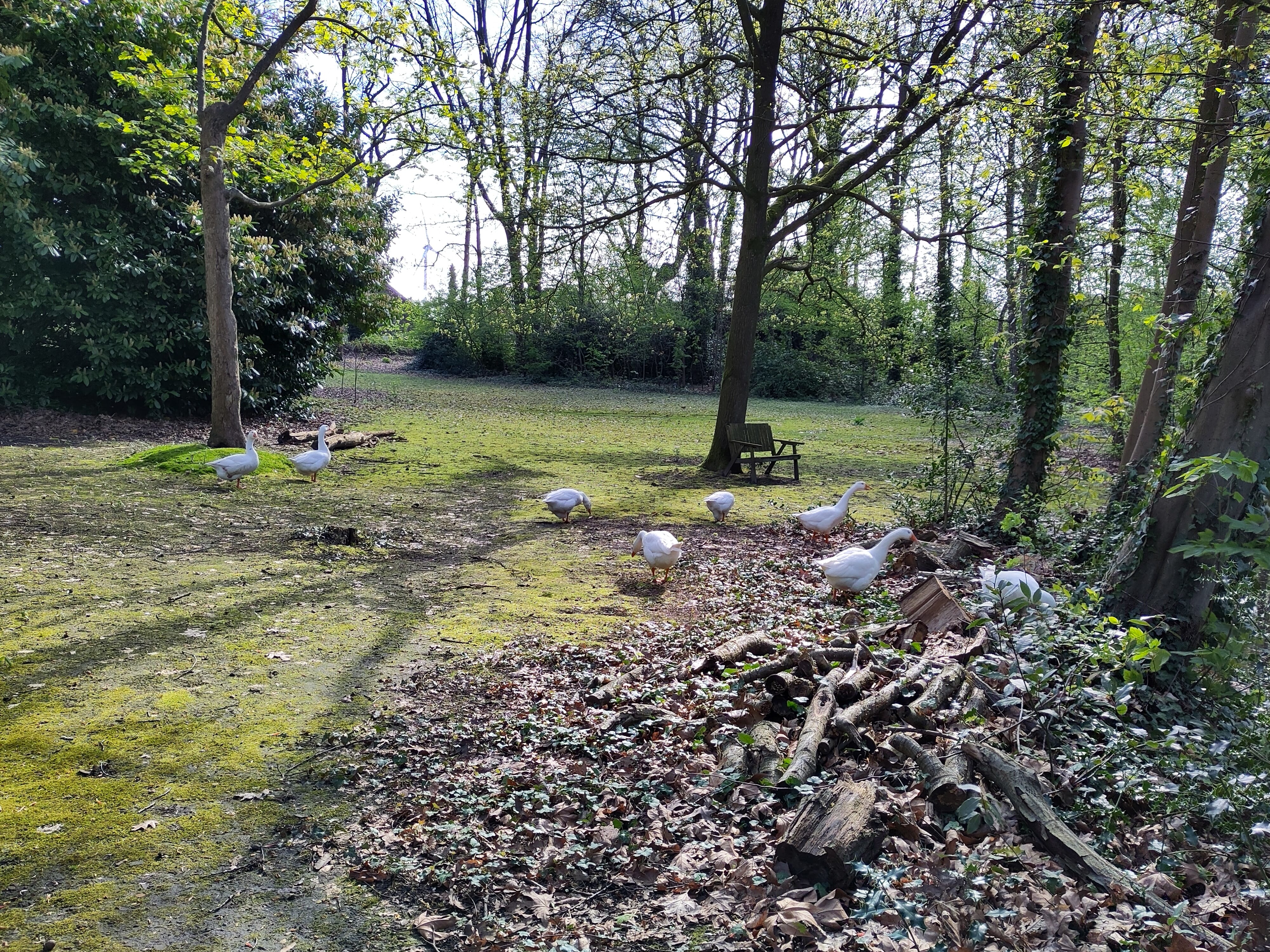 Verbindend weekend | Keltisch Nieuwjaar 30 okt - 2 nov 1 verbindend weekend Keltisch Nieuwjaar