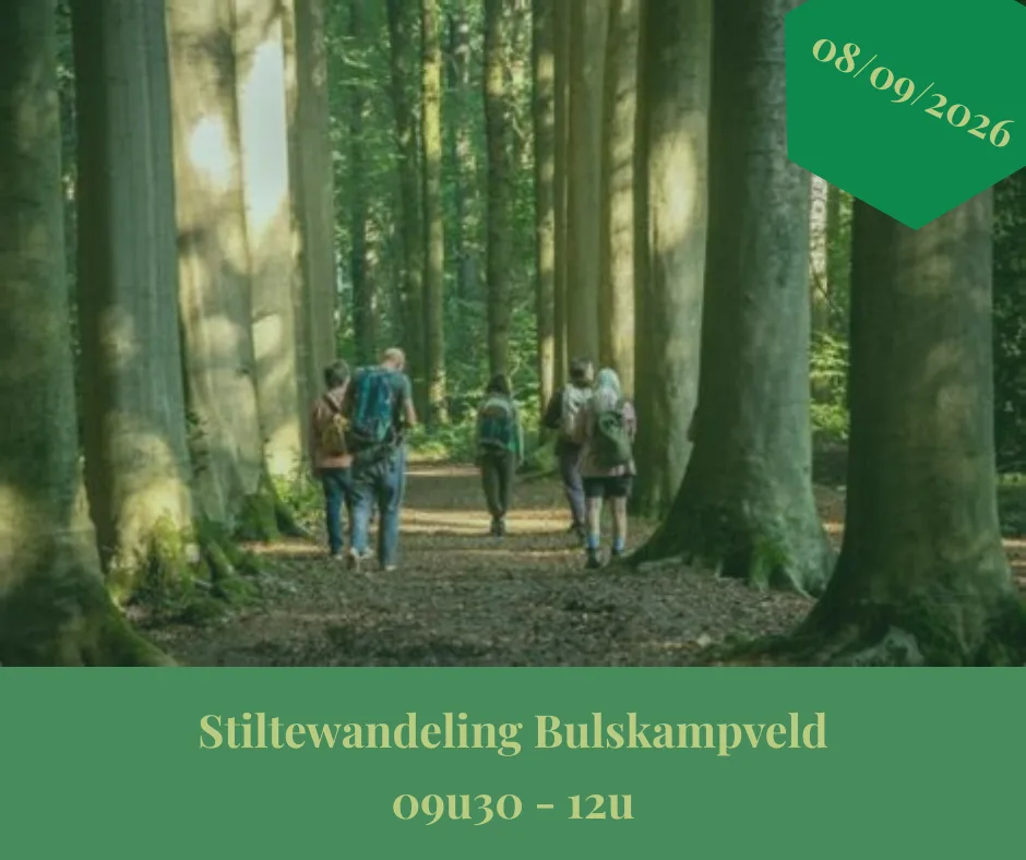 Stiltewandeling | 8 september | Bulskampveld 1 202600908 stiltewandeling Facebook (1)