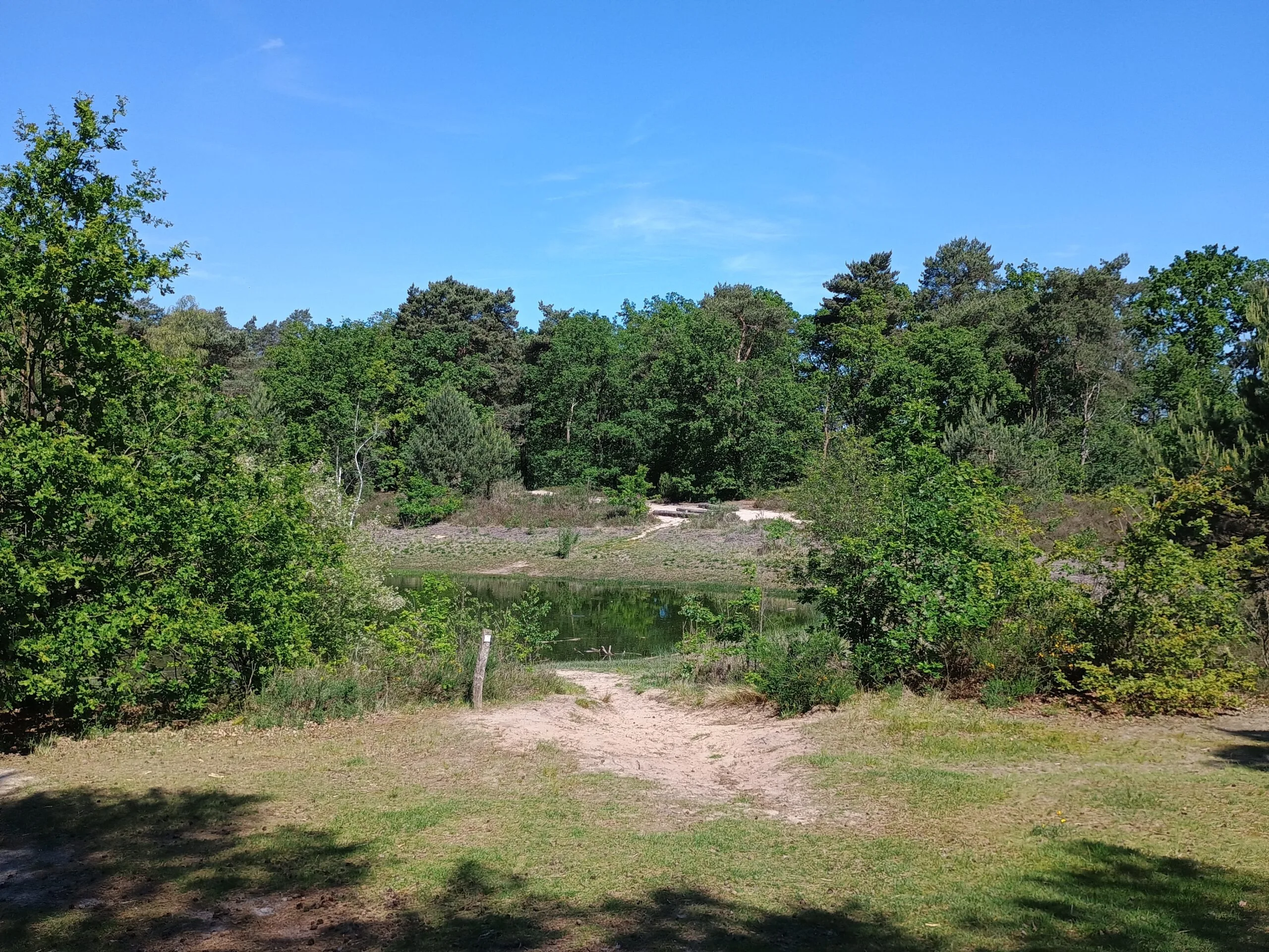 Blootsvoets bij de kikkerpoel: een eerste bijeenkomst van de werkgroep Natuur & Gezondheid 2 IMG 20260522 120403239