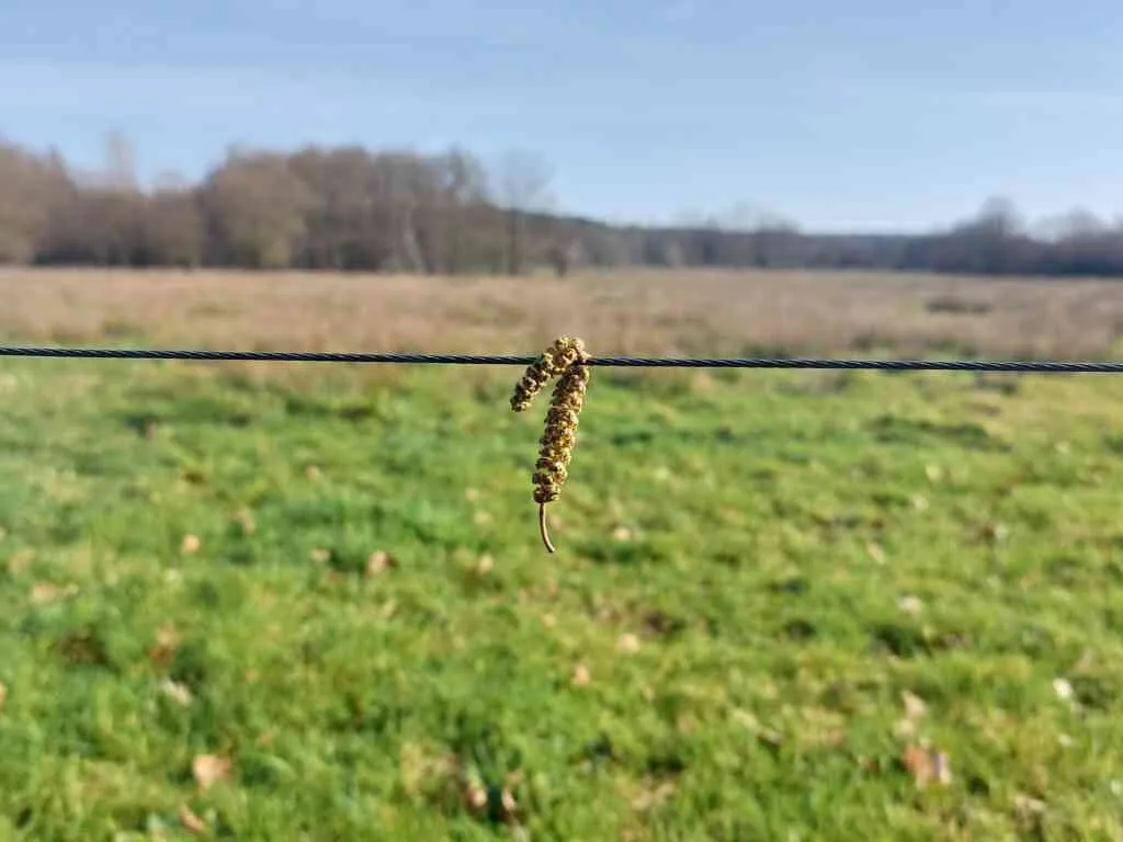 Regiocontactdag 1 augustus 2 Kesselseheide