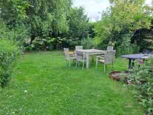 wilde_tuin_steffie